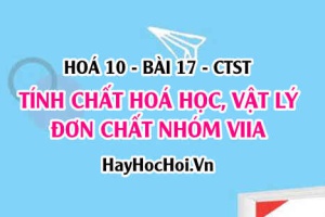 Tính chất hoá học tính chất vật lí của Halogen, đặc điểm cấu tạo, trạng thái tự nhiên và ứng dụng của Halogen - Hoá 10 bài 17 CTST